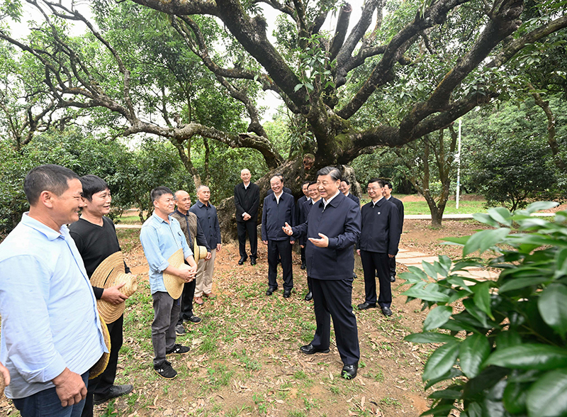 NG南宫电子游戏- 相信品牌的力量
