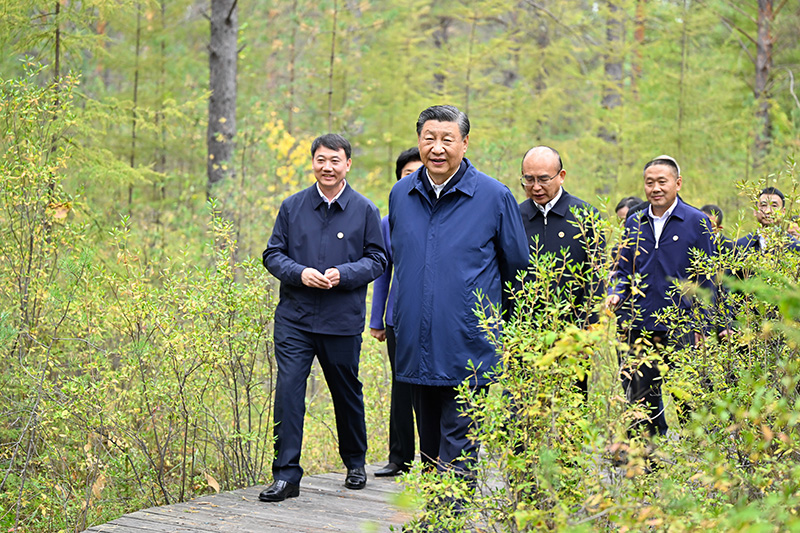 9月6日至8日，中共中央总书记、国度主席、中央军委主席习近平在黑龙江调查。这是6日下午，习近平在大兴安岭地域漠河市漠河林场天然林区调查